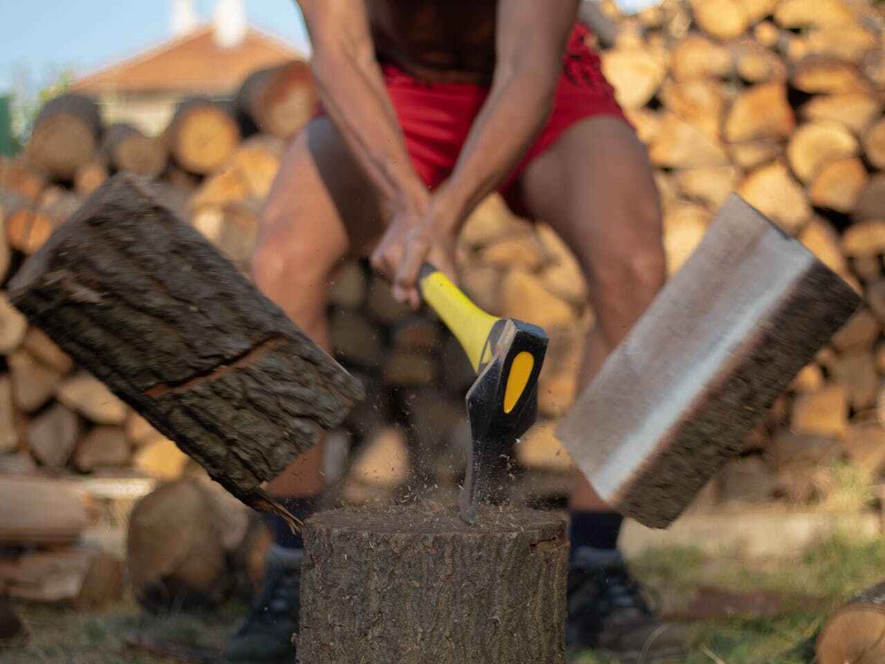 Tree Removal for Businesses in Alexandria, MN